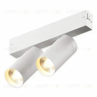 Трековый однофазный светильник AM Group AM528 WH-220V-2X10W SMART