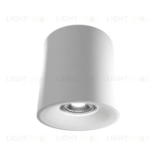 Накладной светильник Lightera Shamrock LE201CL-1WB
