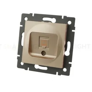 Механизм компьютерной розетки Arlight SCT-MPC1-PL-GD-V (RJ-45, CAT6) 049849