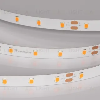 Светодиодная лента Arlight RT-A60-8mm 24V Carrot (4.8 W/m, IP20, 5m) 055375