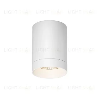 Уличный потолочный светильник Maytoni Luxe O500CL-L10W3K