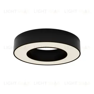 Потолочный светильник Maytoni Lua C093CL-24W3K-B