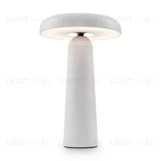 Настольная аккумуляторная лампа Freya Mushroom FR6109TL-L4W