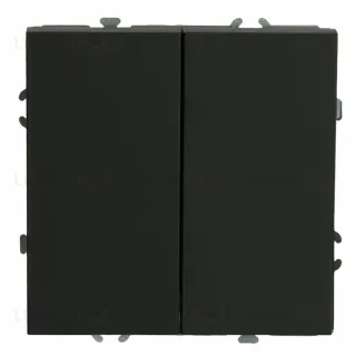 Выключатель 2-клавишный Stekker Эмили RSW10-5104-10ZK 50247