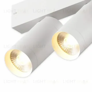 Трековый однофазный светильник AM Group Plain Opal AM590 2X10W 4000K WH