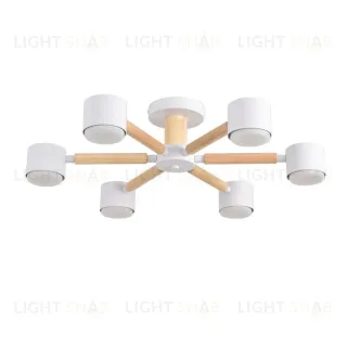 Потолочный светильник Lumion Comfi Vudi 8306/6C