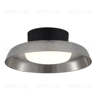 Потолочный светильник ST Luce Foray SL6019.412.01