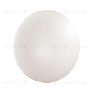 Потолочный светильник Sonex Pale Simple 3017/CLN