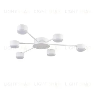 Потолочная люстра Lumion Comfi Torina 8343/6C