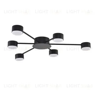 Потолочная люстра Lumion Comfi Torina 8344/6C