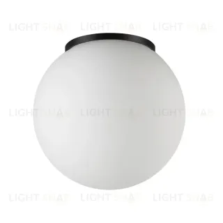 Уличный потолочный светильник Odeon Light Nature Viva 7124/1C