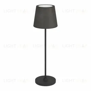 Настольная лампа аккумуляторная Eglo Leonero 75938