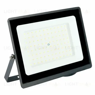 Светодиодный прожектор Feron LL-936 IP65 100W 6400K 52109