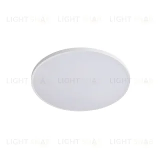 Настенно-потолочный светильник Lightstar Arco Eco 225720