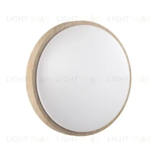 Настенно-потолочный светильник Sonex Pale Losta 7607/CLN
