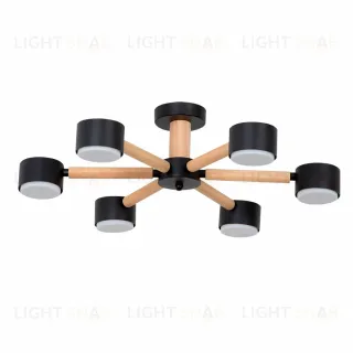 Потолочные люстры Arte Lamp Tenda A1624PL-6BK