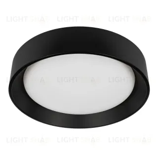 Потолочный светильник Loft IT Coin 10202 BB
