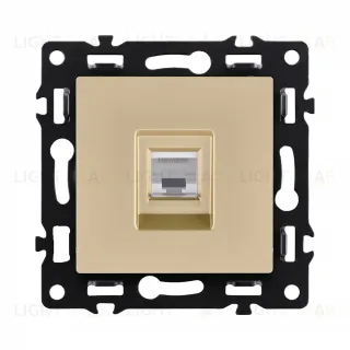 Розетка Ethernet RJ45 Cat.6, золотой Kollinger Asthetik AS-017GD