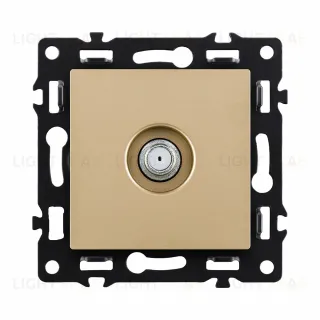 Розетка TV, золотой Kollinger Asthetik AS-020GD
