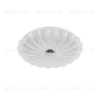 Настенно-потолочный светильник Lightstar Arco Shell 225630
