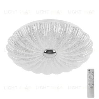 Настенно-потолочный светильник Lightstar Arco Shell 225650