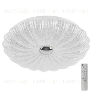 Настенно-потолочный светильник Lightstar Arco Shell 225660