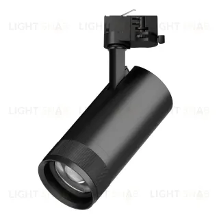 Трековый трехфазный светильник Quattro 20-55G с адаптером Lightstar Canno Pro C4307QT (304307 + 594007)