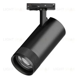 Трековый светильник для однофазного/трехфазного шинопровода Barra 20-55G с тонким адаптером Lightstar Canno Pro C4307SS