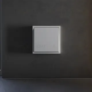 Клавиша для выключателя/переключателя одноклавишного Voltum S70 (серый) VLS000116