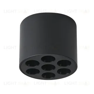 Потолочный светильник Lightstar Guarda 080647