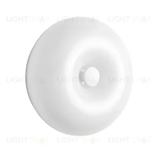 Настенно-потолочный светильник Lightstar Catania 689616