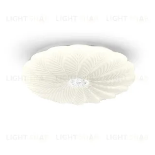 Потолочный светильник Escada Polly 473/PL LED