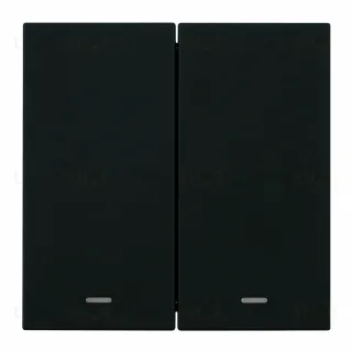 Выключатель 2-клавишный c индикатором (механизм) Stekker Мия 250В 10А RSW10-3102-05 черный бархат 50446