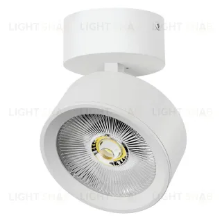 Накладной светильникAlta Pro Lightstar A5636SO