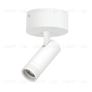 Накладной светильник 20-55G с адаптером Lightstar Canno Pro C4126SO
