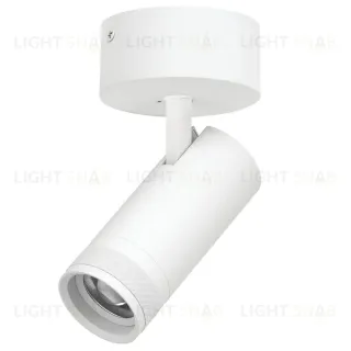 Накладной светильник 20-55G с адаптером Lightstar Canno Pro C4206SO