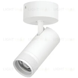Накладной светильник 20-55G с адаптером Lightstar Canno Pro C4306SO