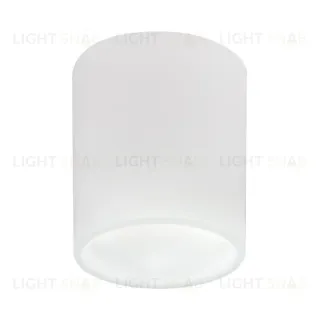 Накладной светильник Lightstar Solido E27 216626
