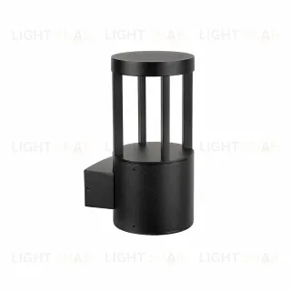 Уличный настенный светильник Arte Lamp Carcassa A4666AL-1BK