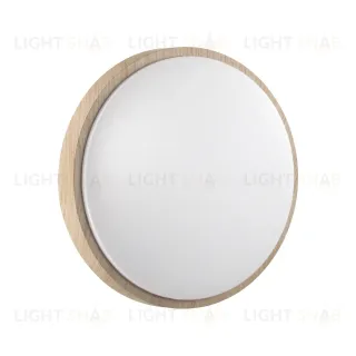 Настенно-потолочный светильник Sonex Losta 7792/ALN
