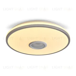 Потолочный светильник Freya Rond FR6226CL-L36W