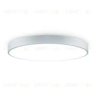 Потолочный светильник Freya Sprida FR6129CL-L80GR