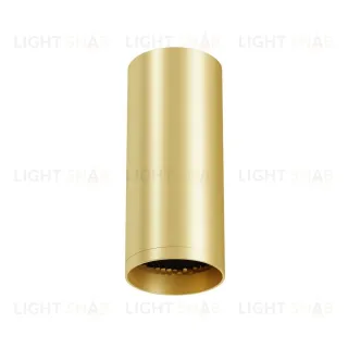 Потолочный светильник Maytoni Technical Focus C010CL-01MG-N